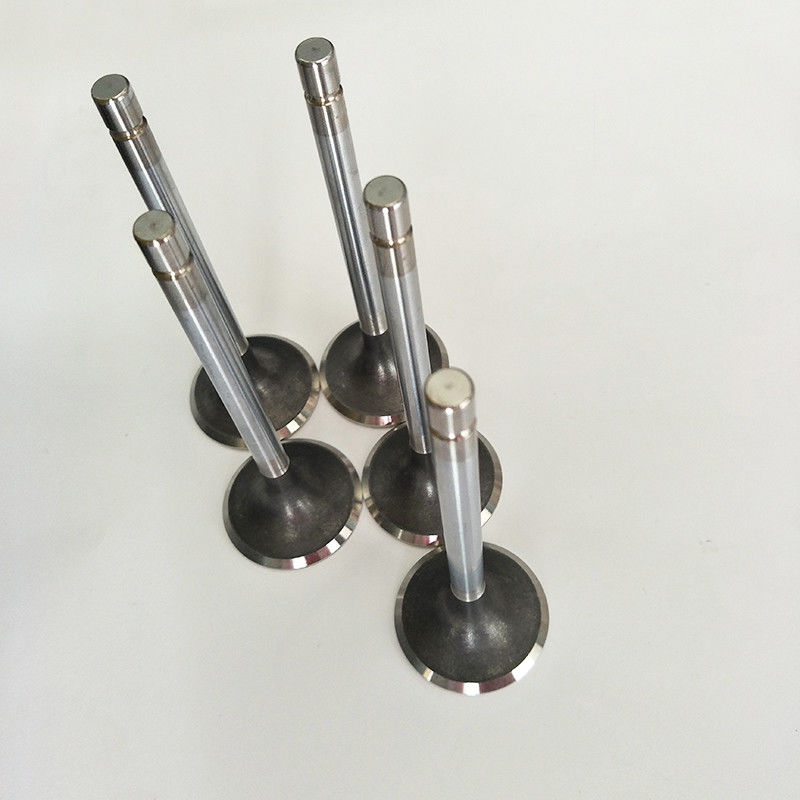 Hướng dẫn sử dụng van xả khí động cơ RD8 cho Nissan 13201-97000 Đường kính trục 12 mm